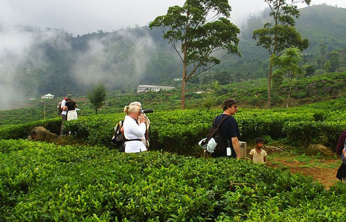 1487829779217469_10150258913047786_6150511_n